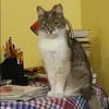 Отзыв от Вера Трошина